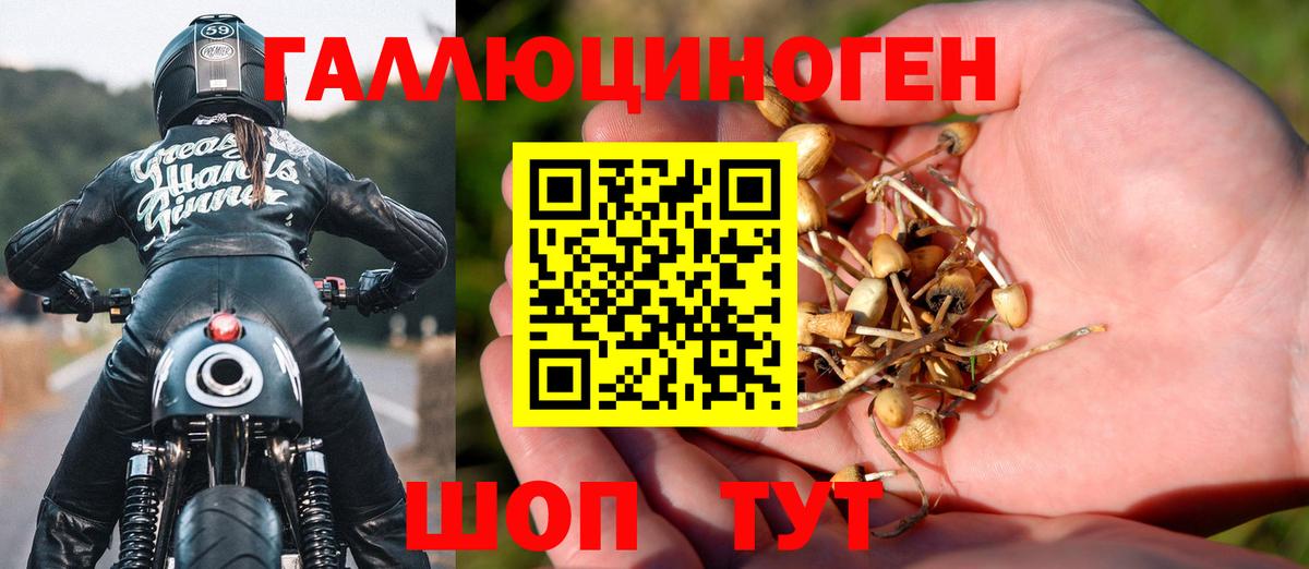Псилоцибиновые грибы MAGIC MUSHROOMS Ярославль