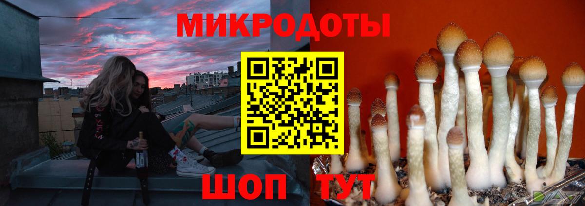 Ярославль  Галлюциногенные грибы GOLDEN TEACHER  Вход с VPN  закладка  Галлюциногенные грибы Psilocybine cubensis 